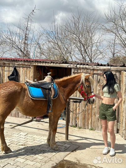 Шорты женские