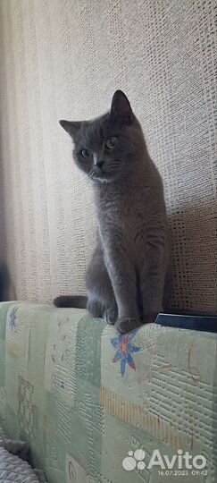 Вязка