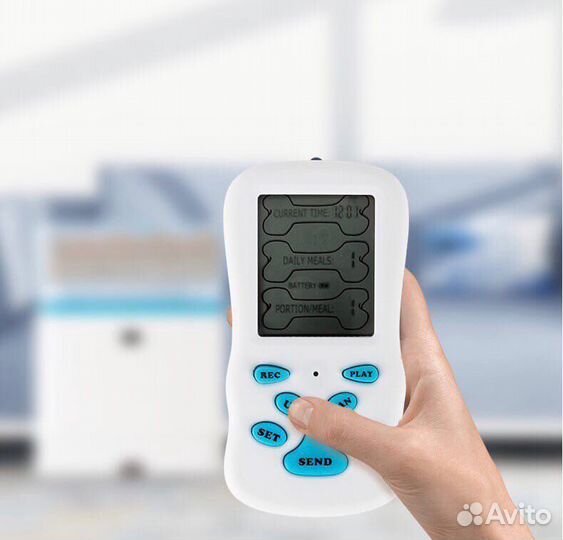 Автокормушка для кошек и собак