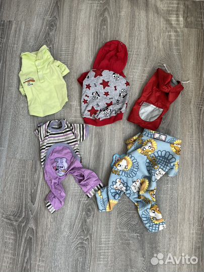 Одежда для мелких пород собак