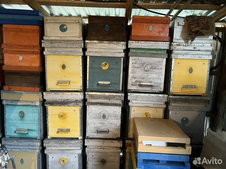 Ульи для пчел