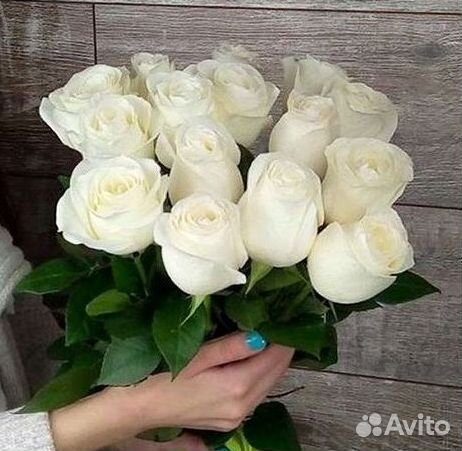 Высокие метровые розы Букеты Доставка