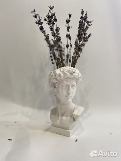 Бюст кашпо ваза «Давид»
