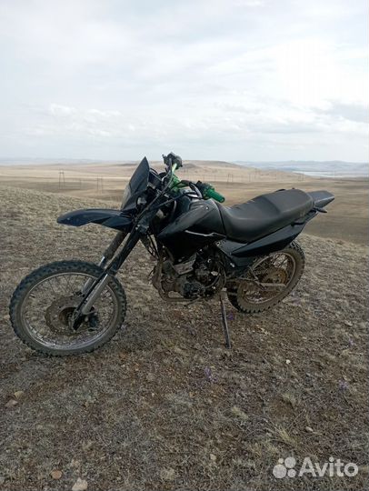 Racer panther 200