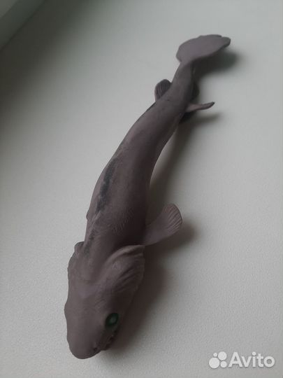 Плащеносная акула Co&maksi deagostini