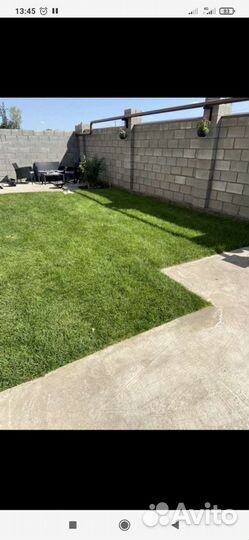 Рулонный газон