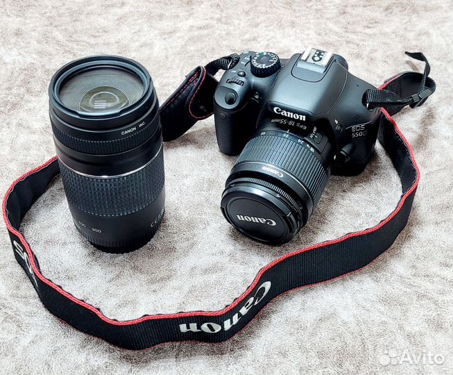 Canon EOS550D, cannon zoom lens EF75-300mm