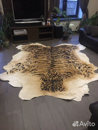 Продам шкуру
