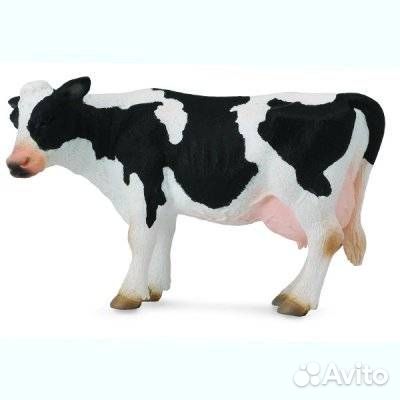 Корова, L, 88481b