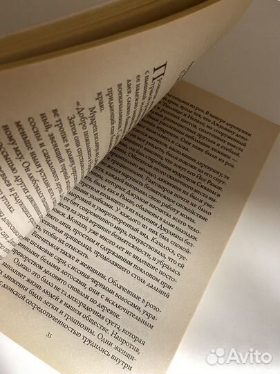 Монах, который продал совй феррари, Робин Шарма