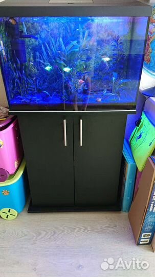 Аквариум Aquael leddy set 60