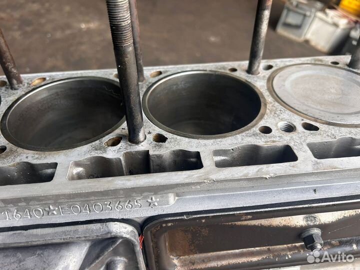 Блок всборе умз 421640 евро 4(шорт блок)