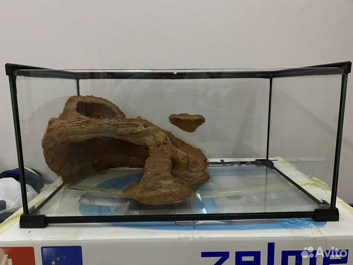 Террариум для рептилий