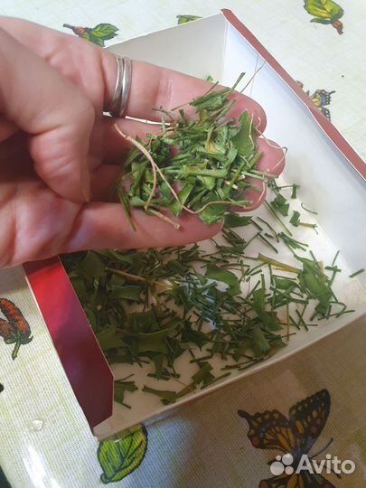 Лечебное редкое растение