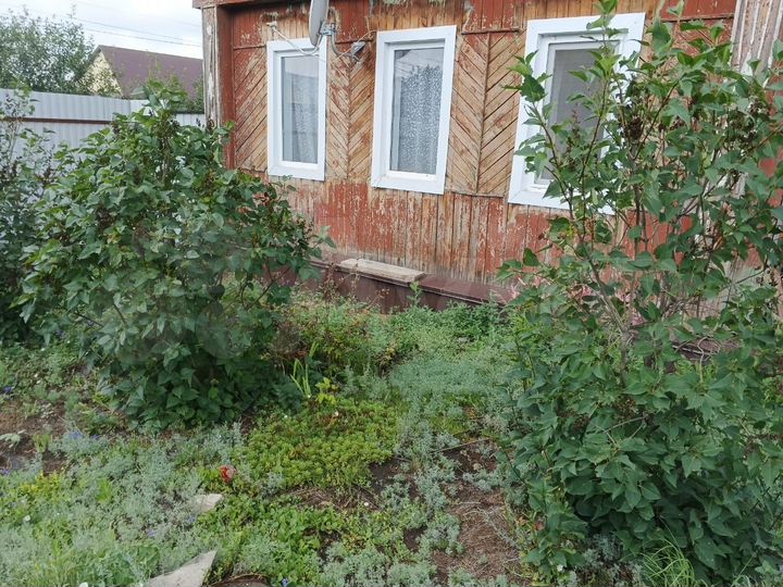 Дом 67 м² на участке 35 сот.