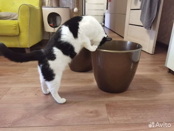 Горшок для комнатных растений 15.5см диаметр, 21л