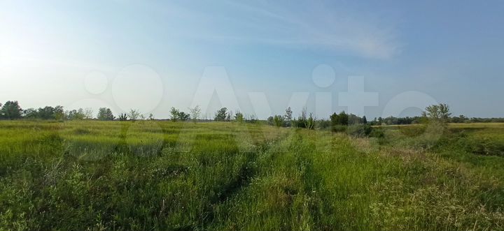 Участок 1,3 га (ИЖС)