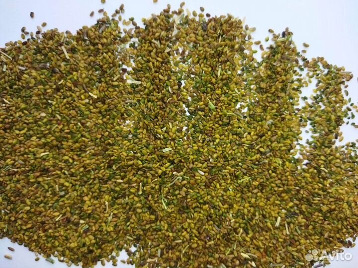 Семена люцерны