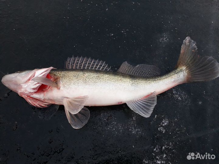 Блесна гладкая