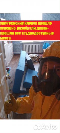 Уничтожение тараканов клопов плесени дезинфекция