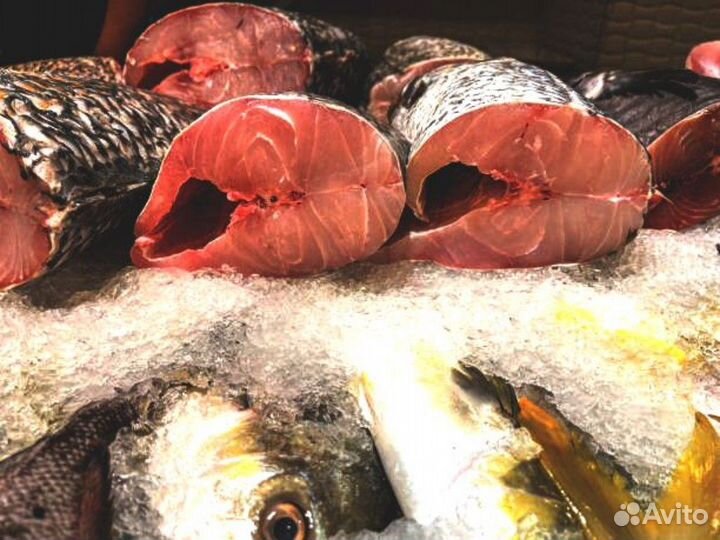 Магазин рыбы и морепродуктов