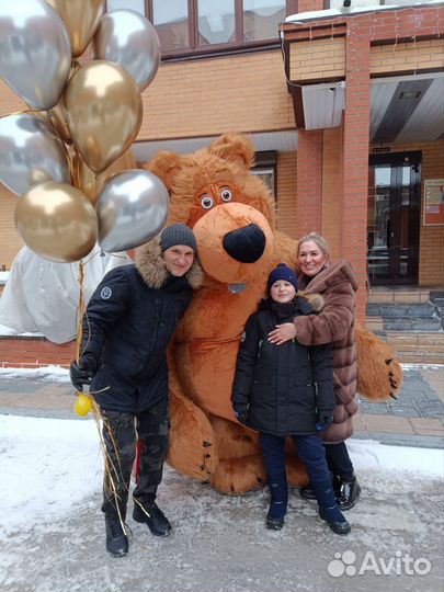 Белый Мишка поздравление, Панда