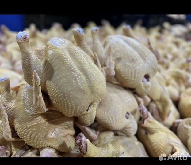 Куры бройлеры тушки мясо