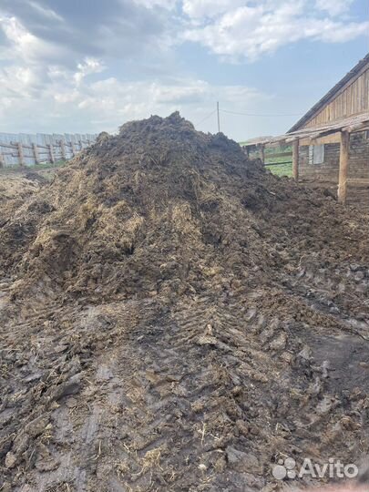 Чернозем, перегной, навоз