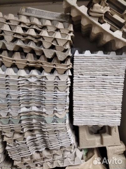 Ячейки для яиц