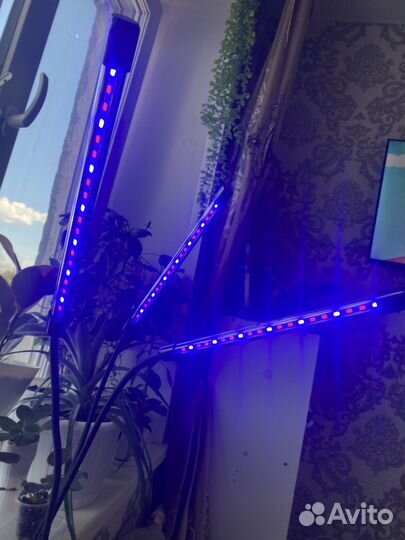 Фитолампа для растений полный спектр