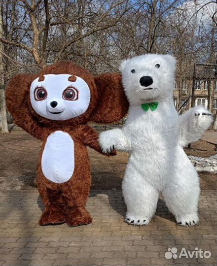 Белый мишка поздравление ростовой медведь аниматор