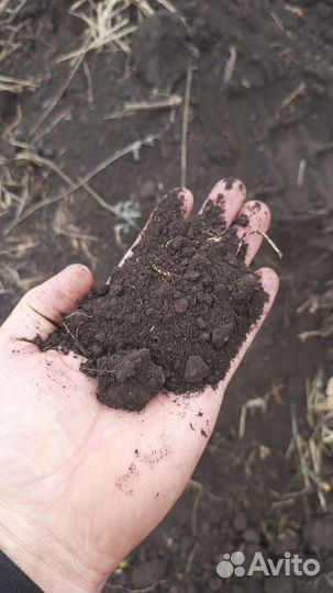 Земля плодородная