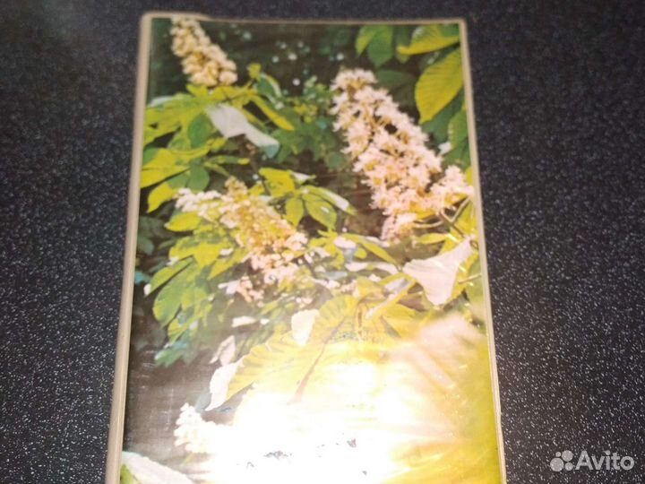 Альбом для фотографий СССР