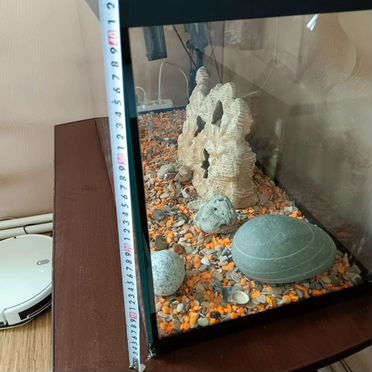 Аквариум 120 л с крышкой и подсветкой + аксессуары