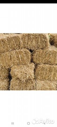 Салома в тюках