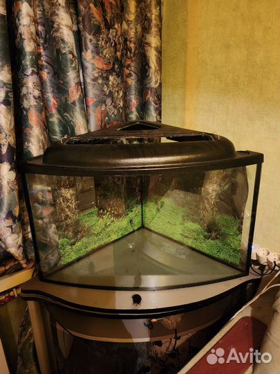 Аквариум