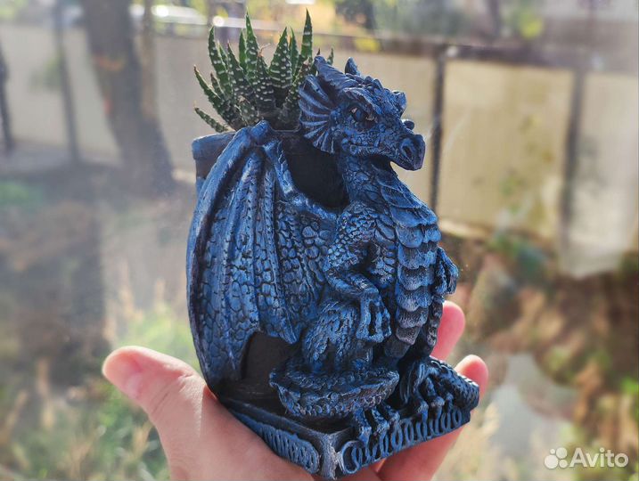Суккулент в кашпо в виде дракона