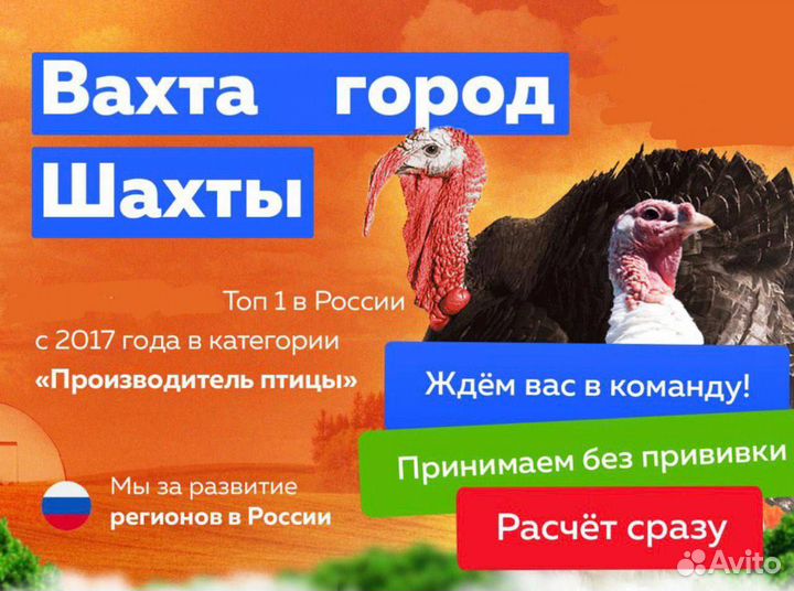 Вахта оплата проезда проезда разнорабочий