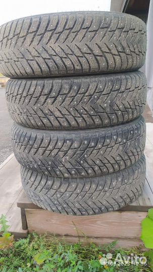 Nokian Tyres Hakkapeliitta 10p 185/65 R15 92T