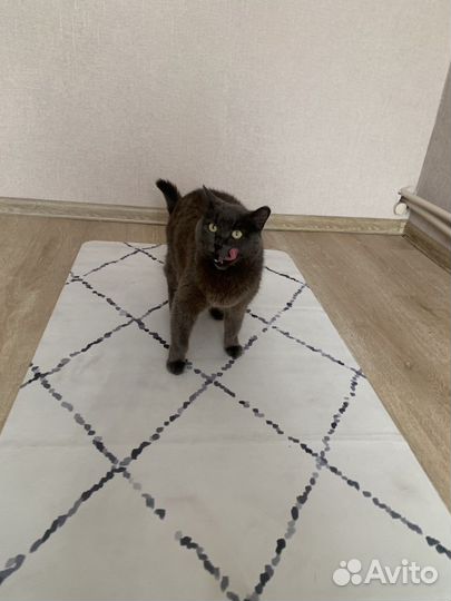 Коврики для йоги / Новые / 1.5 мм трэвел