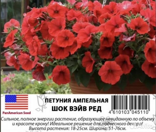 Семена ампельной петунии