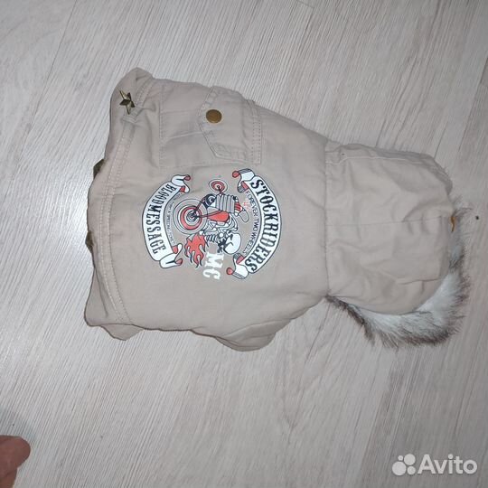 Одежда для маленьких собак