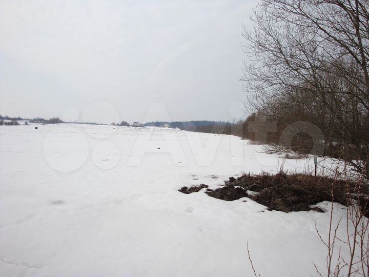 Участок 2,3 га (СНТ, ДНП)