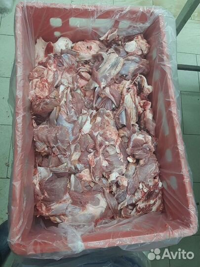 Мясо говядина 2 сорт