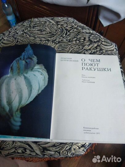 Книга про ракушки