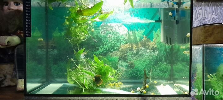 Украшение для аквариума