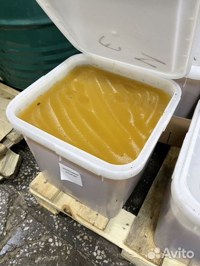 Эспарцетовый свежий мед оптом