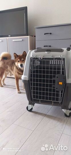 Переноска для средних собак