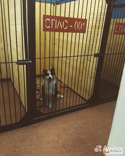 Зоогостиница