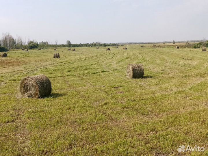 Сено в рулонах с доставкой